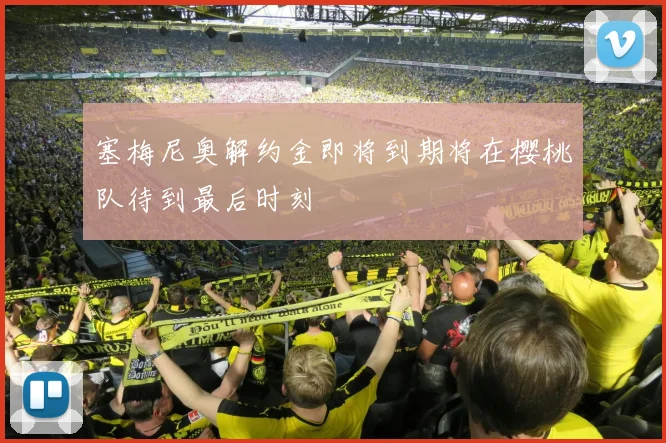 塞梅尼奥解约金即将到期将在樱桃队待到最后时刻