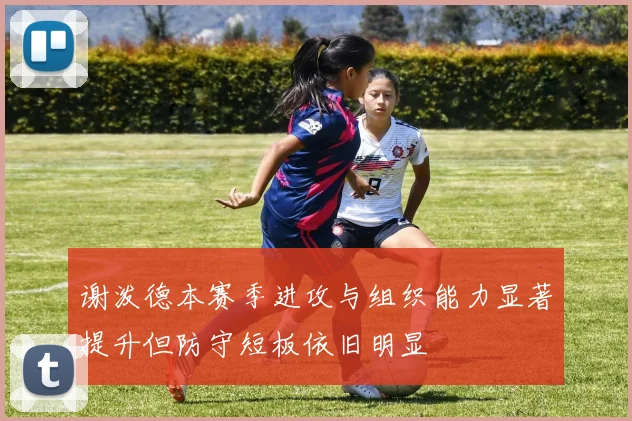 谢泼德本赛季进攻与组织能力显著提升但防守短板依旧明显