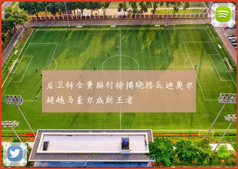 后卫转会费排行榜揭晓格瓦迪奥尔超越马奎尔成新王者