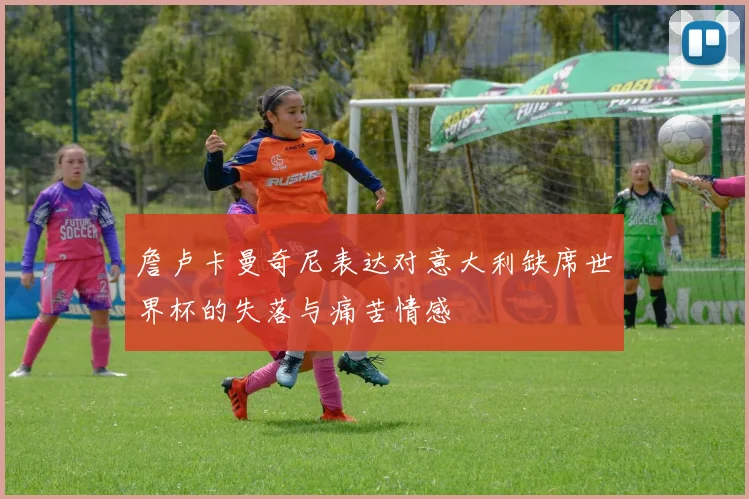 詹卢卡曼奇尼表达对意大利缺席世界杯的失落与痛苦情感